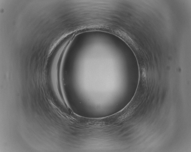 X0000072500676200608041442