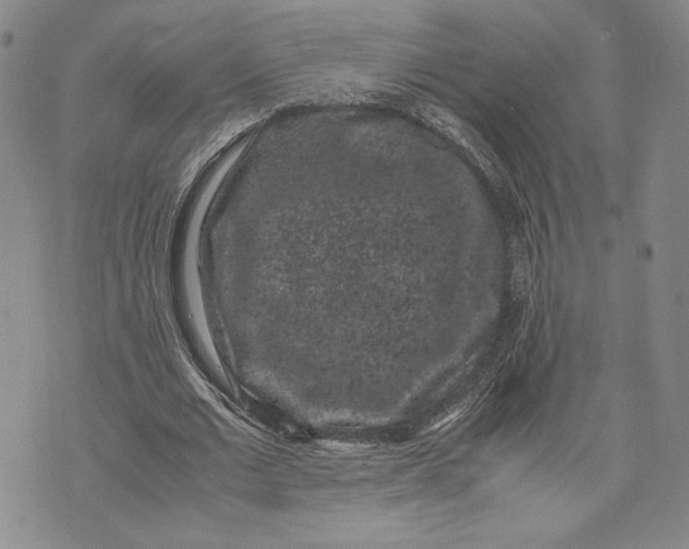 X0000072500677200608041442