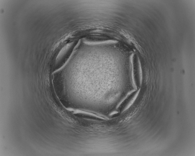 X0000072500681200608041442