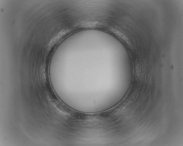 X0000072500682200608041442