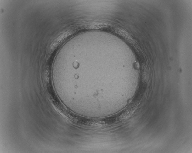 X0000072500683200608041442