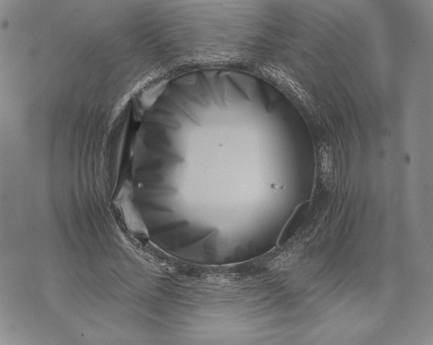 X0000072500684200608041442