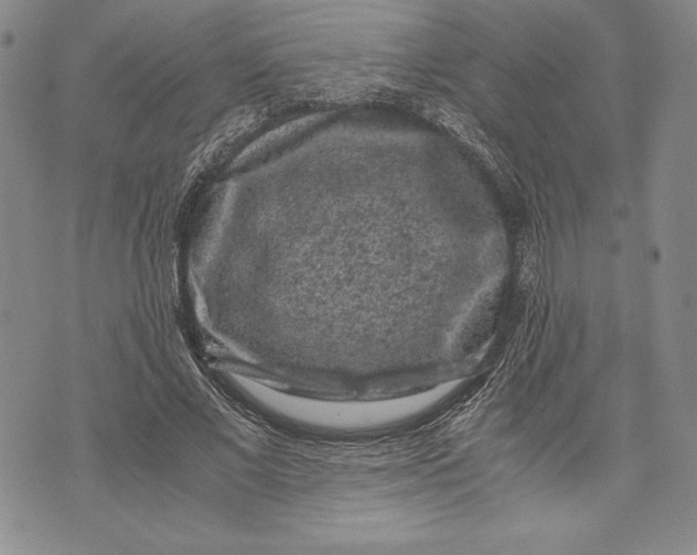 X0000072500685200608041442