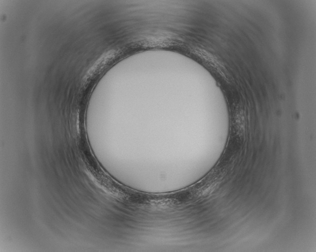 X0000072500686200608041442