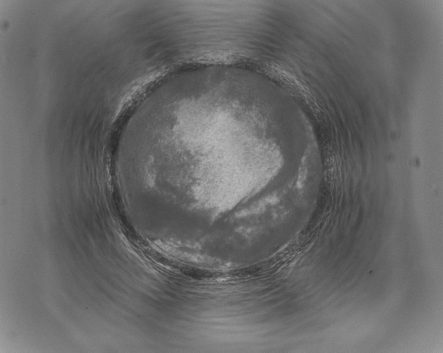 X0000072500688200608041442