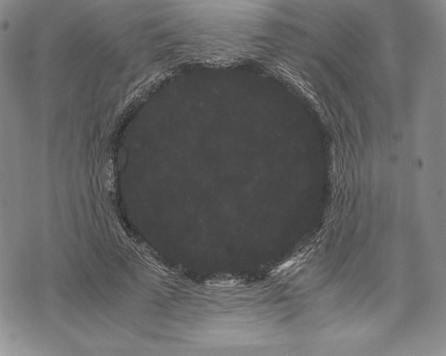 X0000072500689200608041442