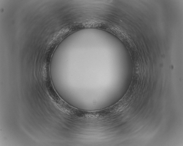 X0000072500690200608041442