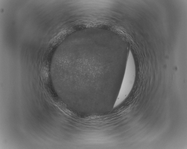 X0000072500691200608041442