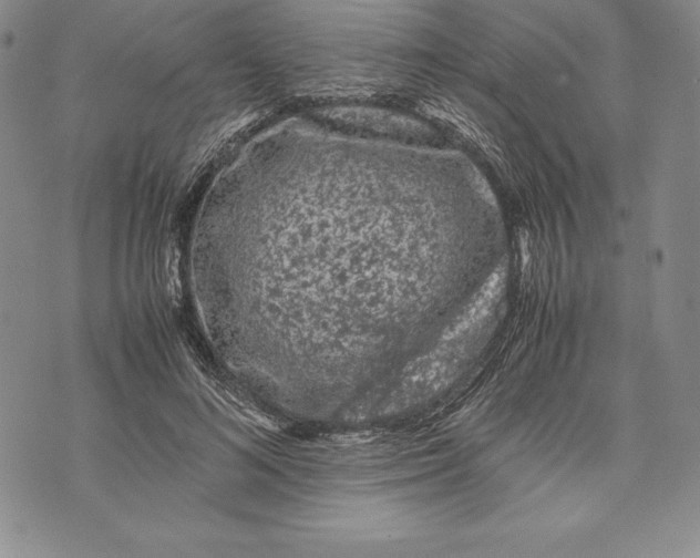 X0000072500692200608041442