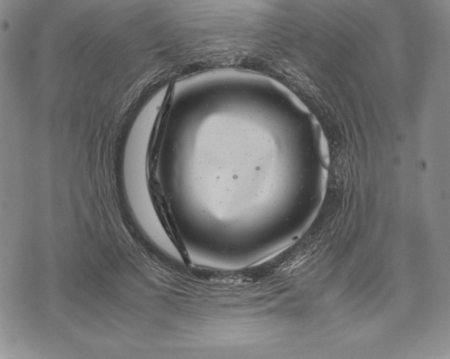 X0000072500693200608041442