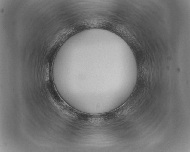 X0000072500694200608041442