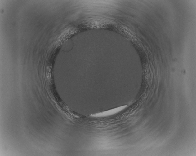 X0000072500695200608041441