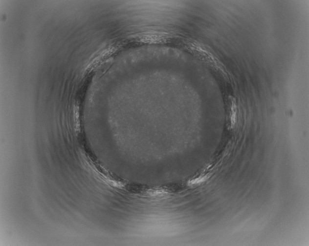 X0000072500696200608041441