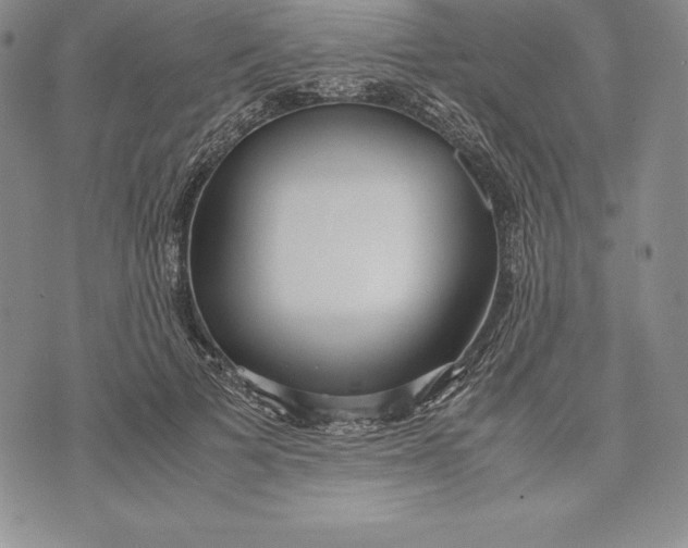 X0000072500697200608041441