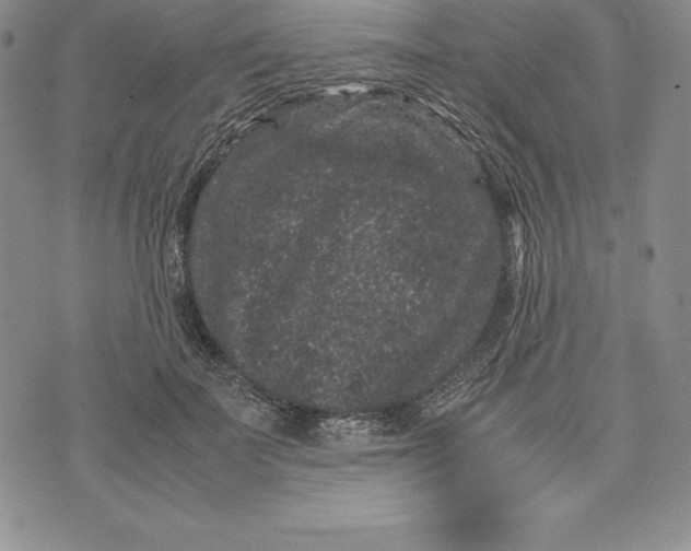 X0000072500699200608041441