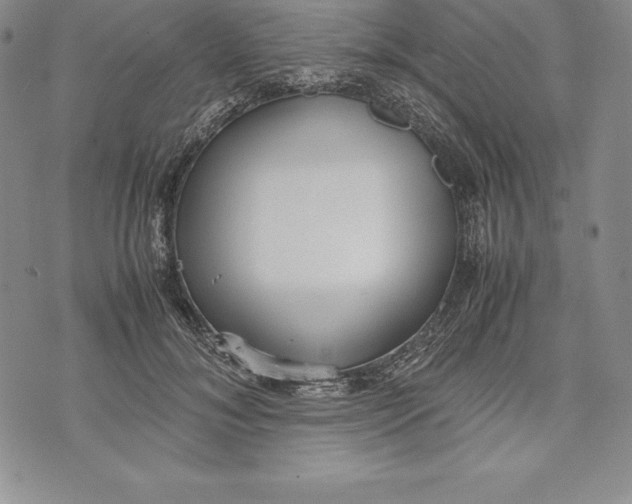 X0000072500700200608041441