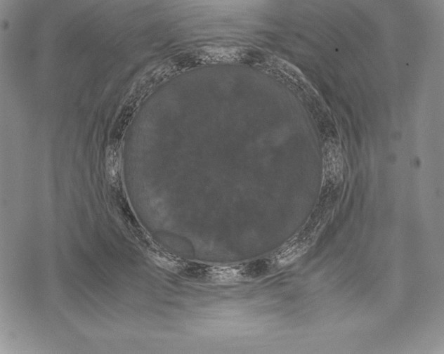 X0000072500701200608041441