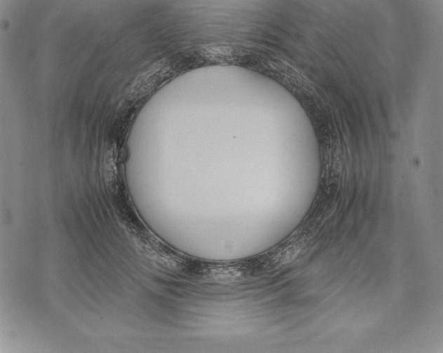 X0000072500702200608041441