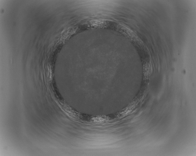 X0000072500703200608041441