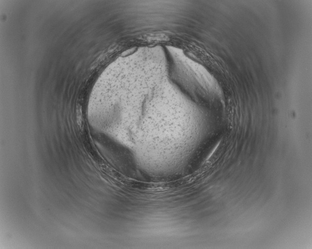 X0000072500704200608041441