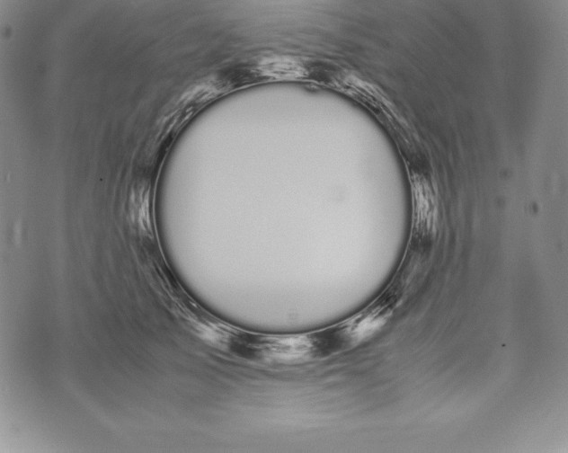 X0000072500705200608041441