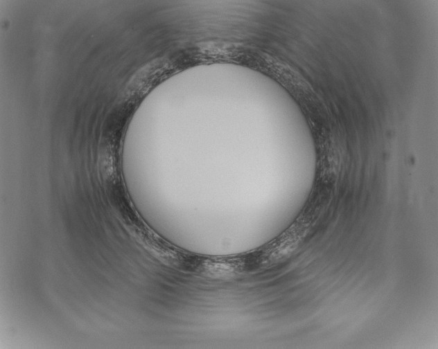 X0000072500706200608041441