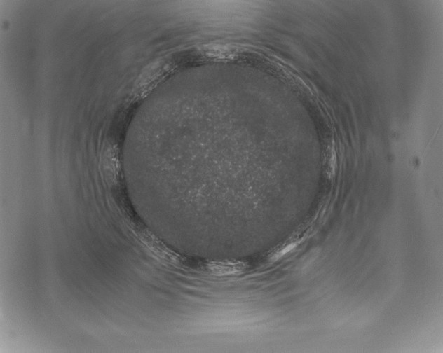 X0000072500707200608041441