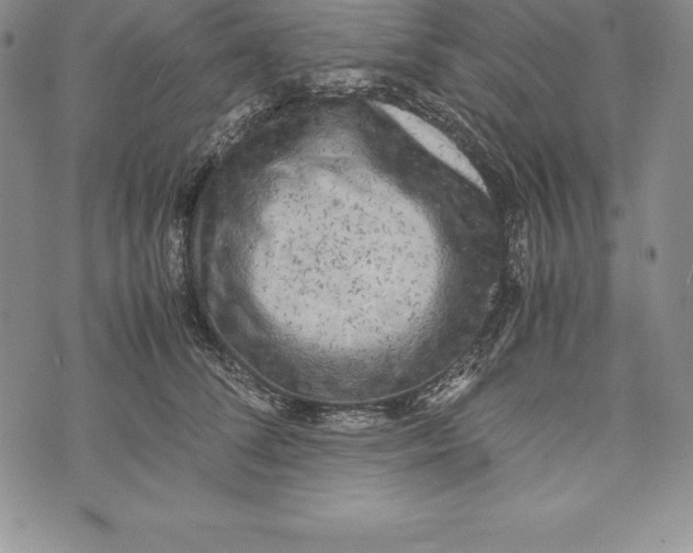 X0000072500708200608041441