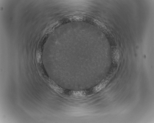 X0000072500709200608041441