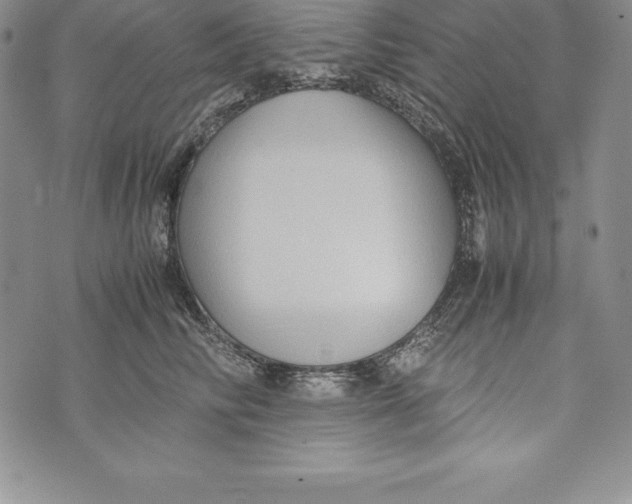 X0000072500710200608041441