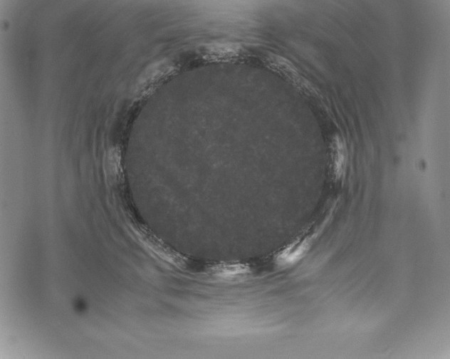 X0000072500711200608041441