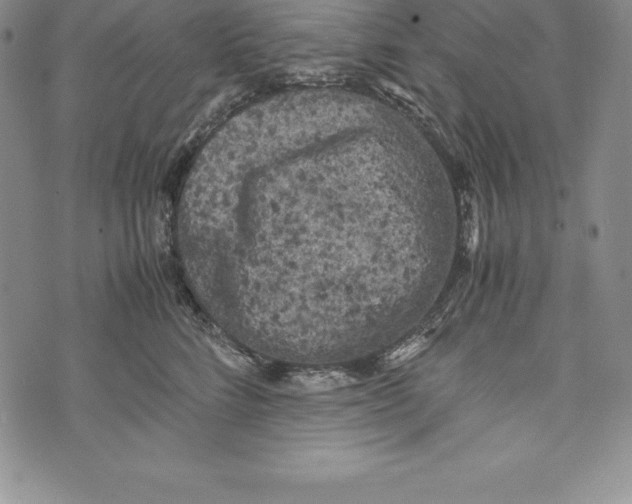 X0000072500712200608041441