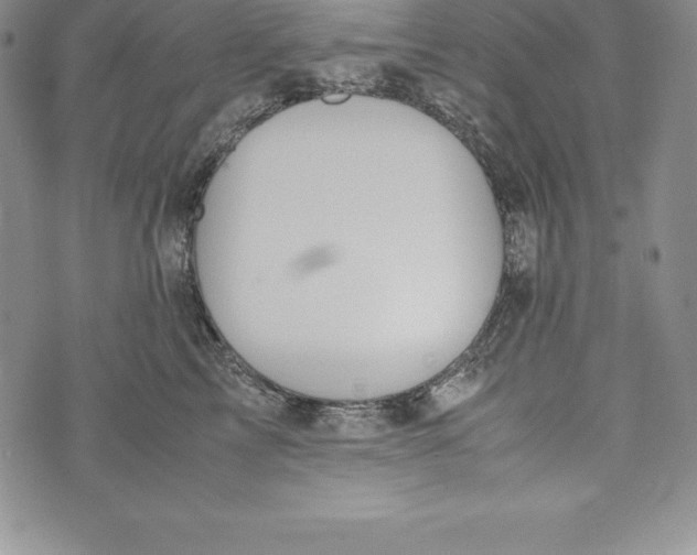 X0000072500713200608041441