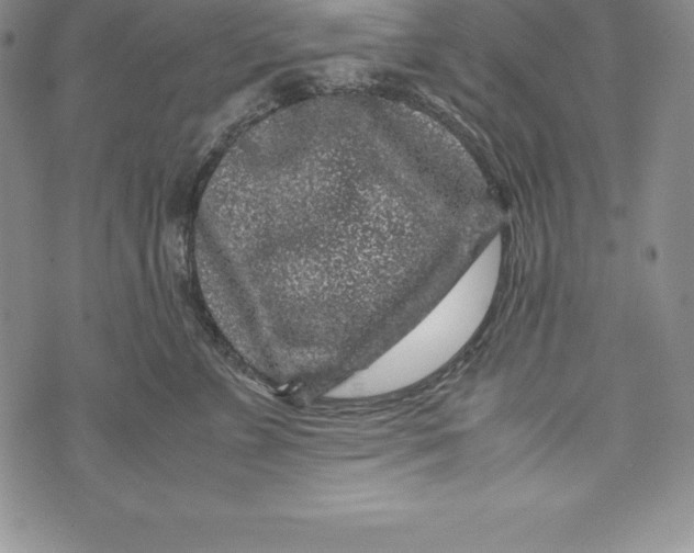 X0000072500715200608041441