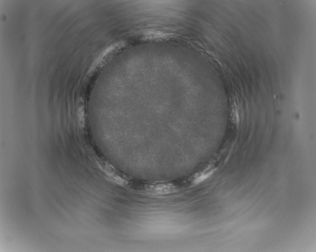 X0000072500716200608041441