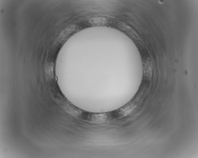 X0000072500717200608041441