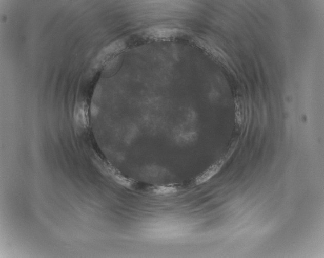 X0000072500718200608041441