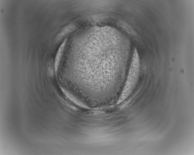 X0000072500719200608041441