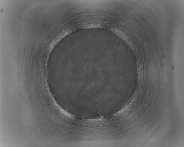 X0000072500721200608041440