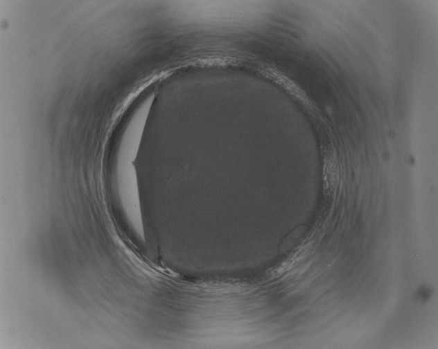 X0000072500722200608041440