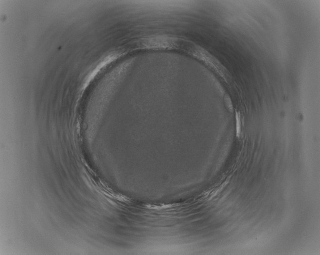 X0000072500723200608041440