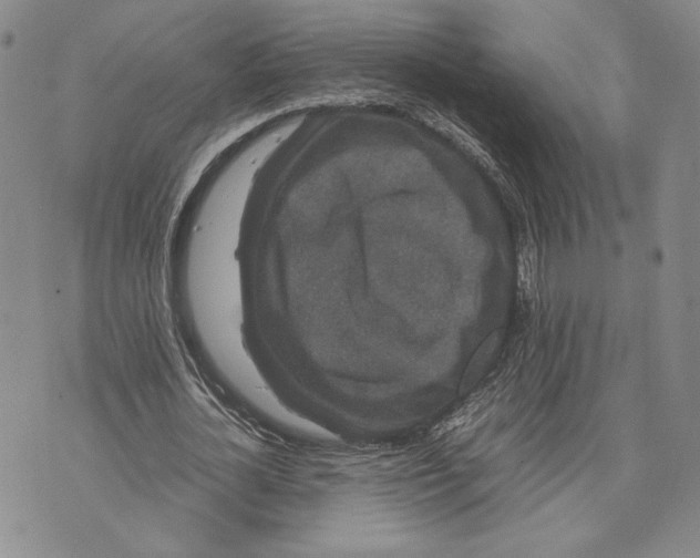 X0000072500724200608041440