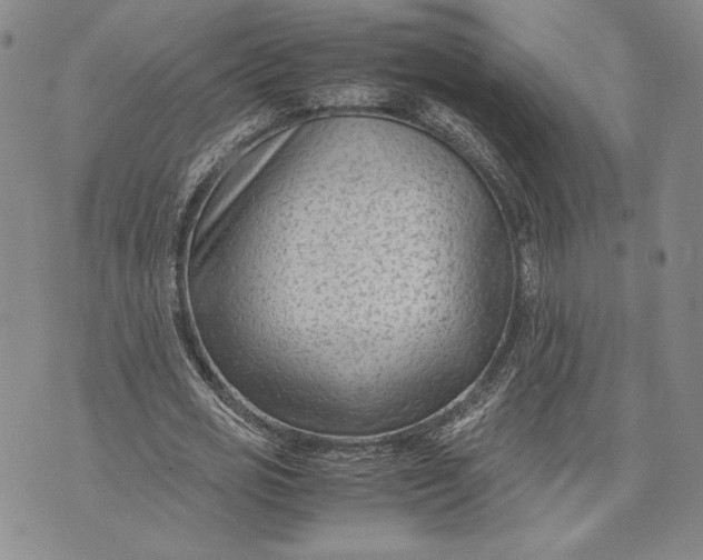 X0000072500725200608041440