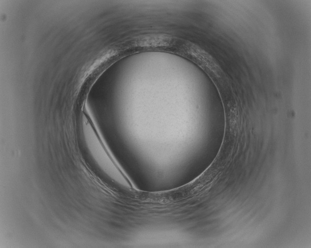 X0000072500727200608041440