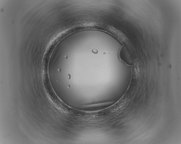 X0000072500728200608041440