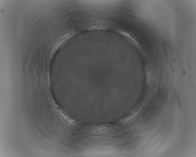 X0000072500729200608041440