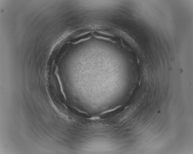 X0000072500730200608041440