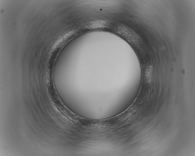 X0000072500732200608041440