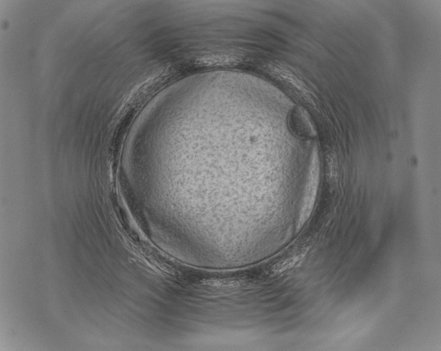 X0000072500733200608041441