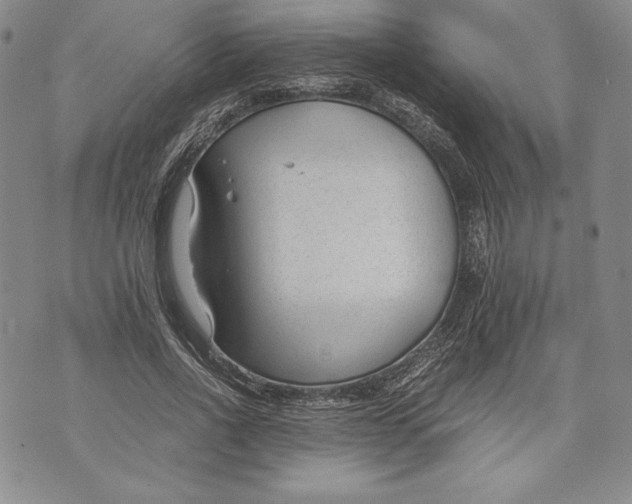 X0000072500734200608041441